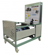  DSG׃������(sh��)Ӗ(x��n)�_(t��i)