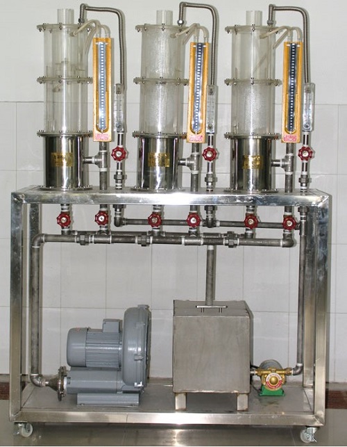  ��ʽ�����w���W(xu��)��